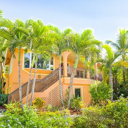 Villa Aloha Baby